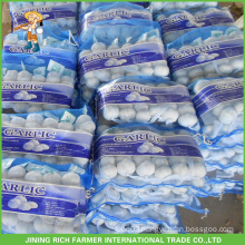 Fresh Vegetables Wholesale Import China Cold Storage Garlic